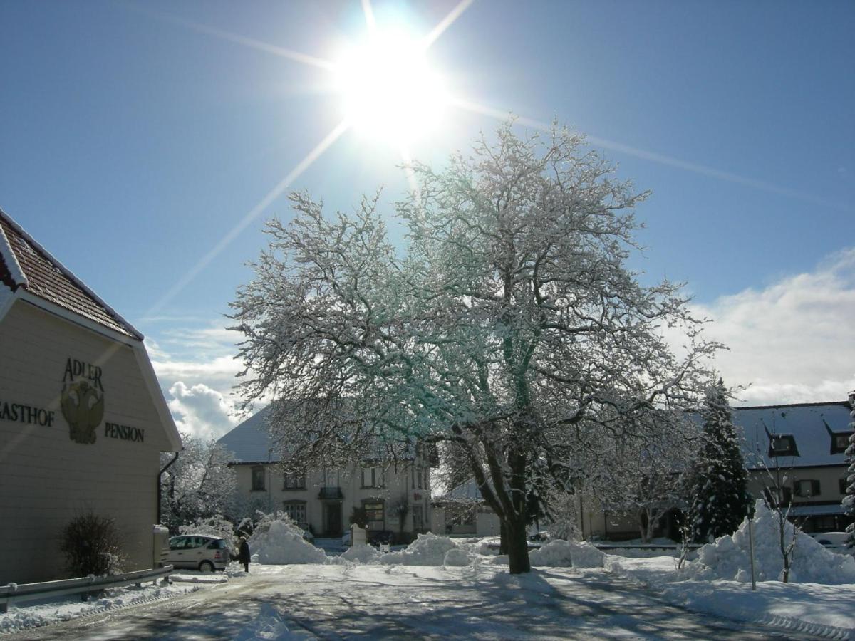 Pension Adler Bannholz Exteriör bild